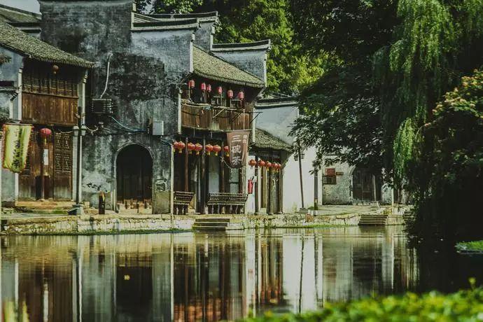 拯救毛茸茸男人